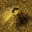 (1,1) R 