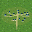 (3,4) (400l) 